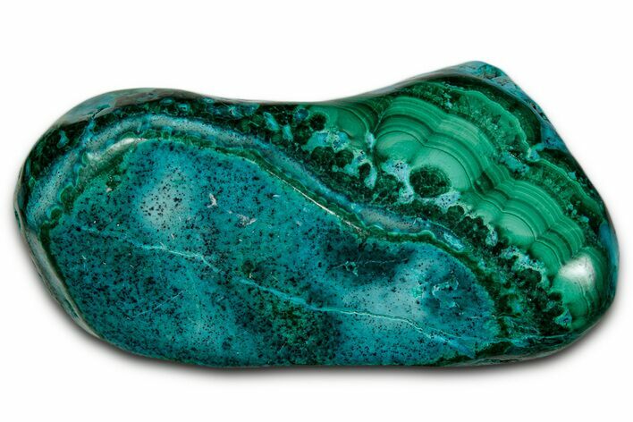 Vibrant Polished Malachite with Chrysocolla - DR Congo #336849